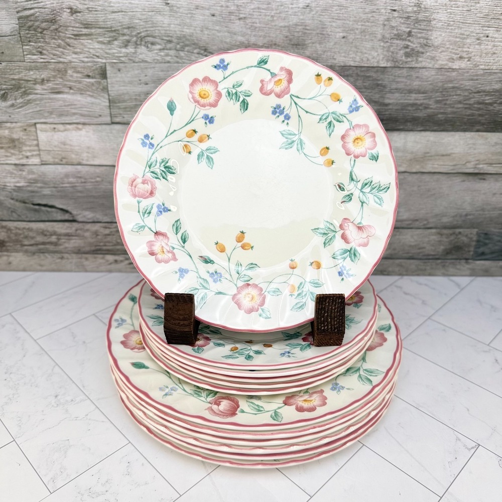Churchill Briar Rose Swirl Rim Plates - Set of 11- 5 Dinner & 6 Salad Plates VTG